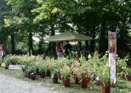 Mostra-mercato Vanzo Floreale 2009